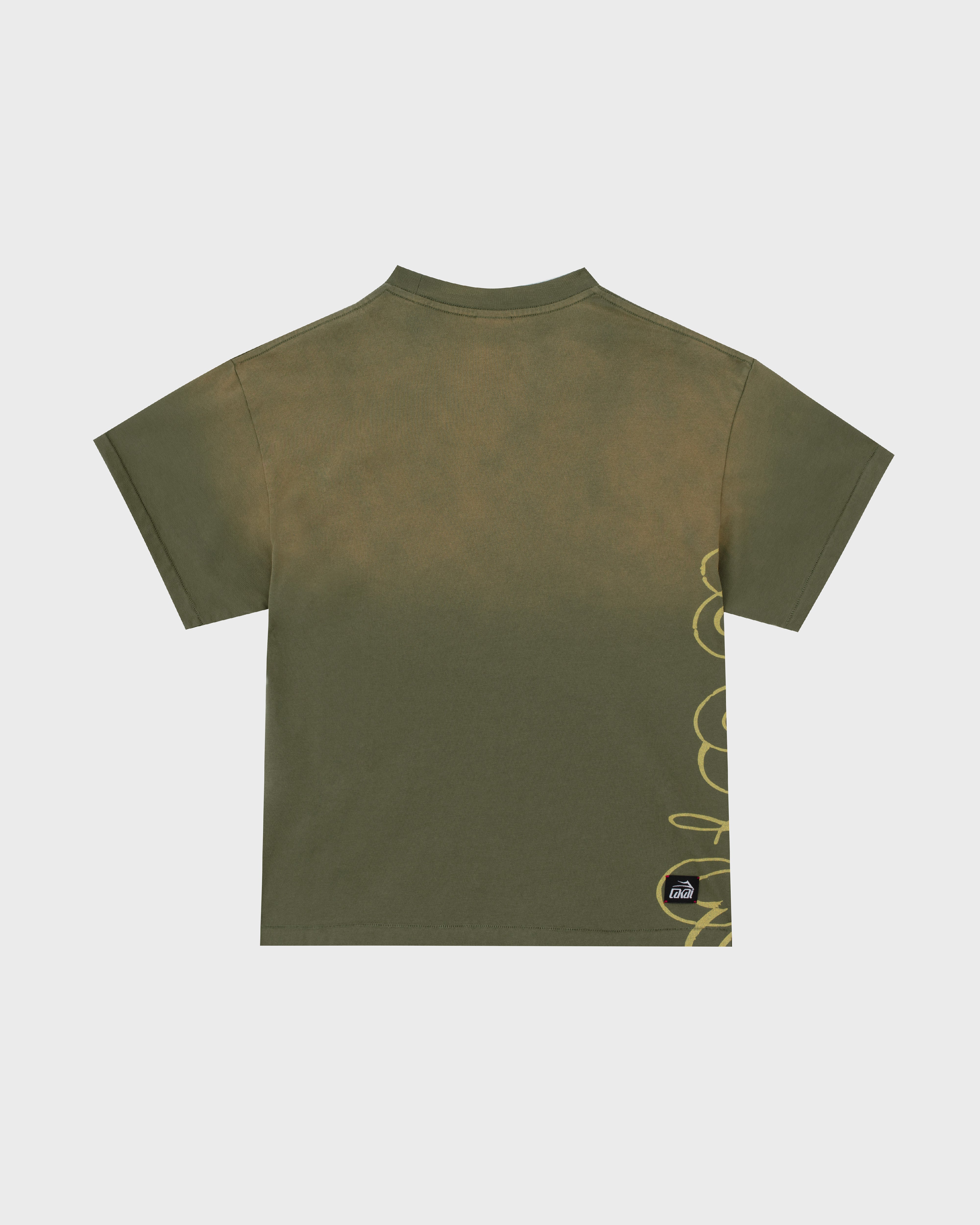 lakai-boxy-tee-signature-print-sunfaded-green-t-shirt image 2