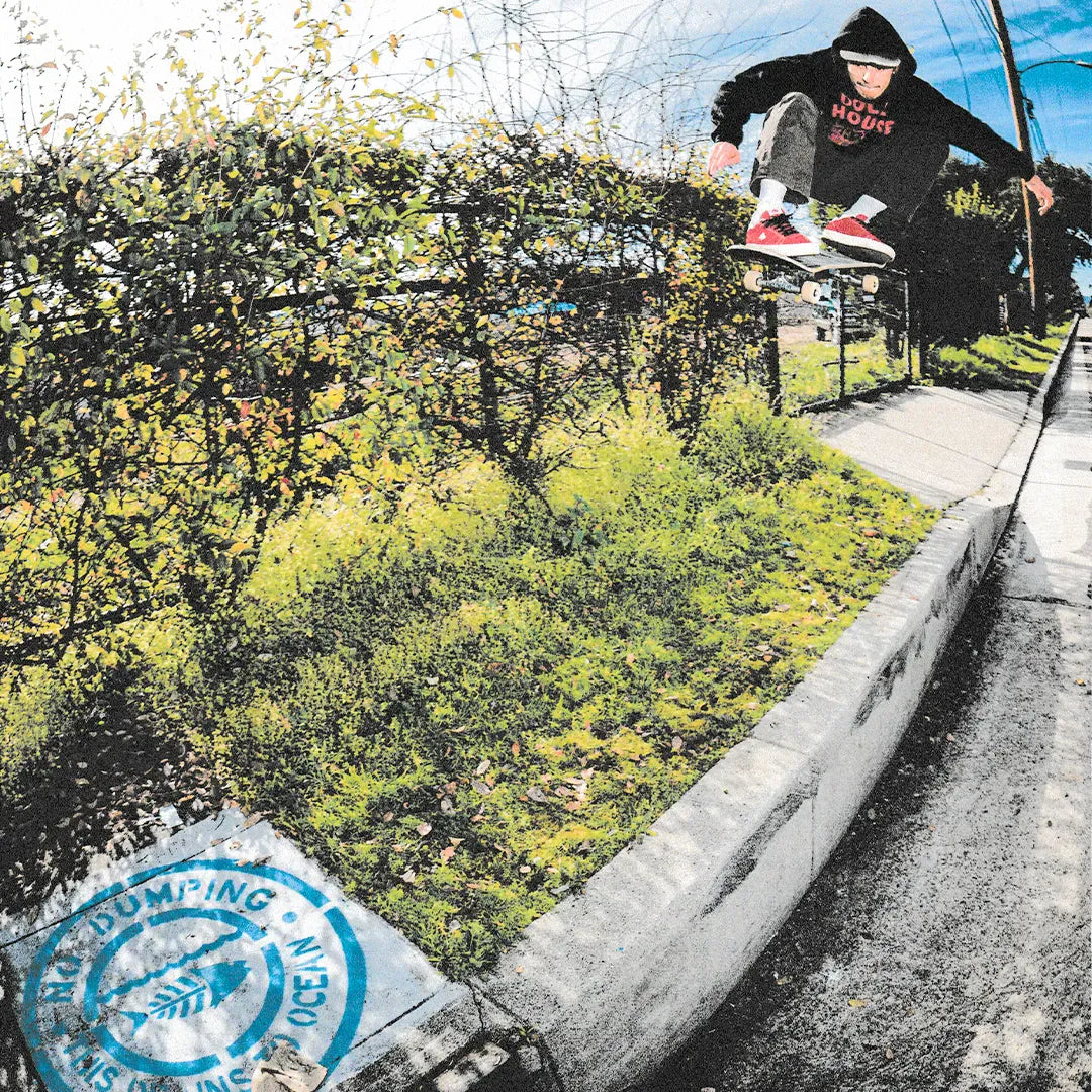 emerica-moca-lowtop-skateschuh-rot-suede image 2