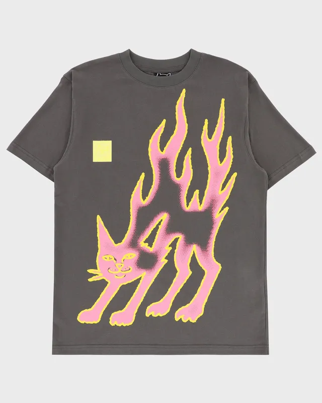 lakai-x-ripndip-pink-flame-ss-tee-t-shirt-gray-pink image 1