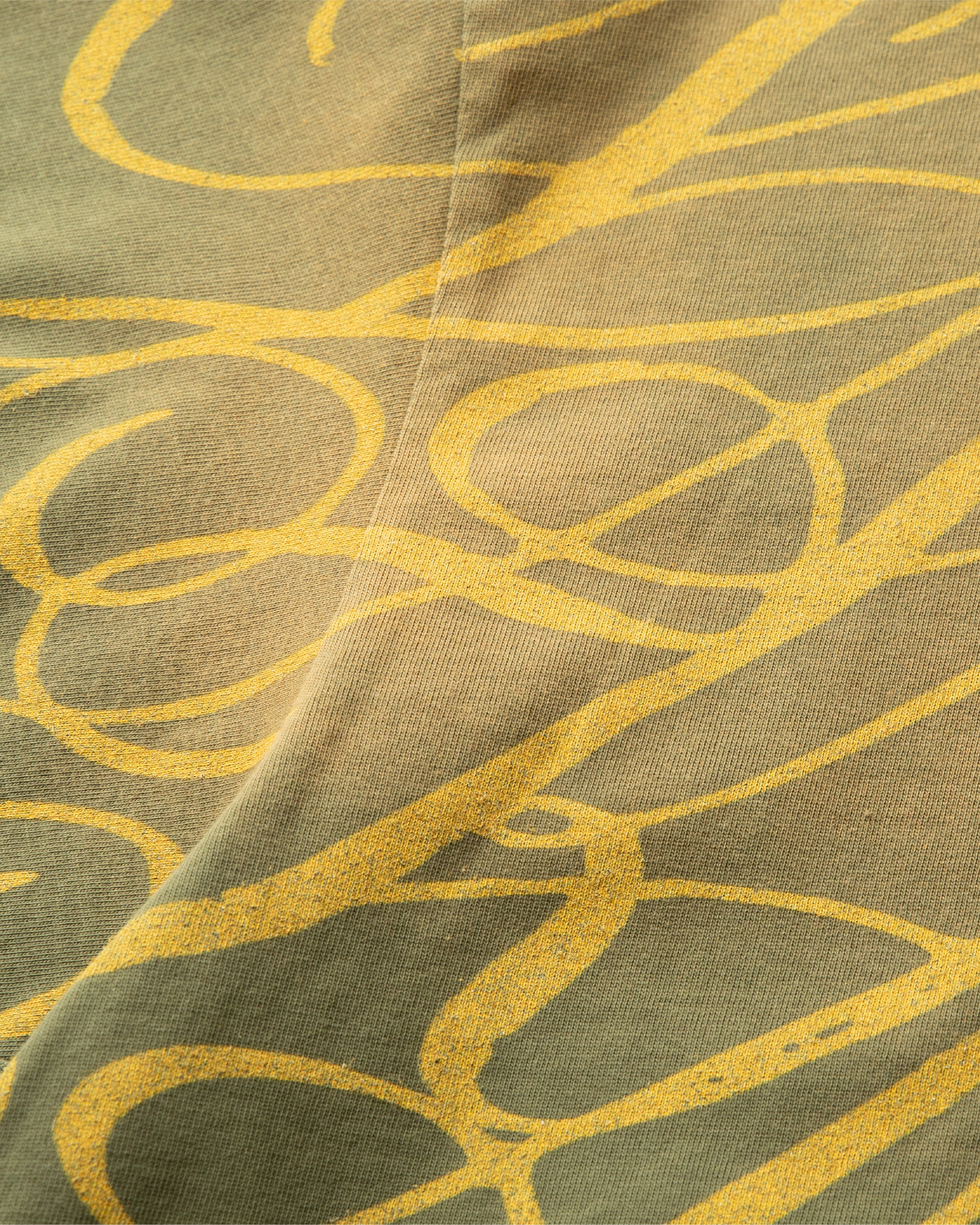 lakai-boxy-tee-signature-print-sunfaded-green-t-shirt image 5