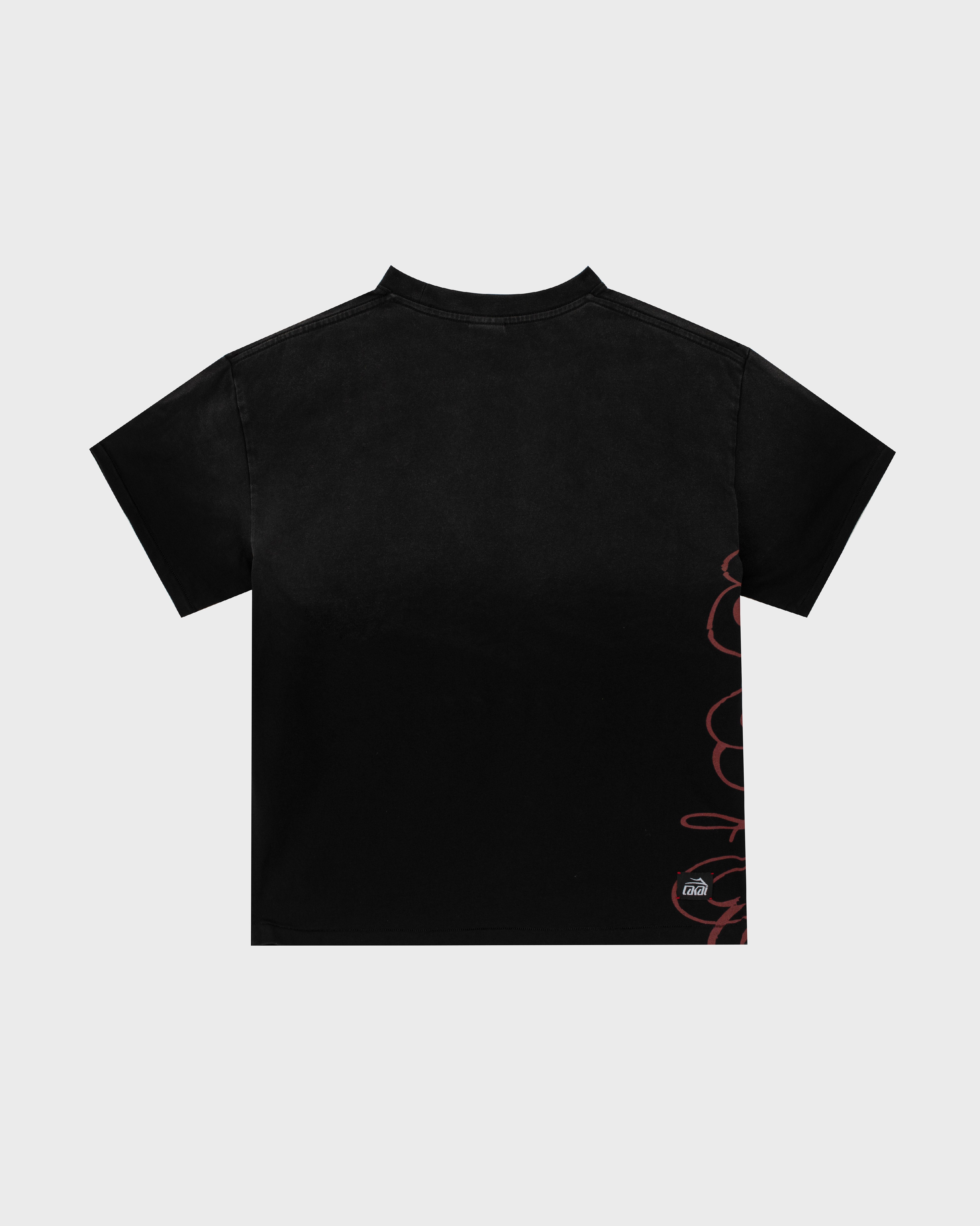 lakai-boxy-tee-signature-print-vintage-black-cropped-t-shirt image 2